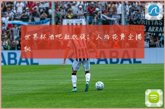 世界杯酒吧狂欢夜：人均花费全揭秘