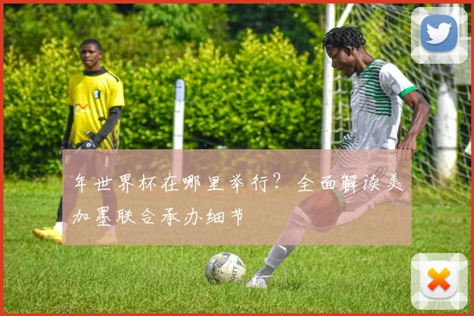 年世界杯在哪里举行？全面解读美加墨联合承办细节