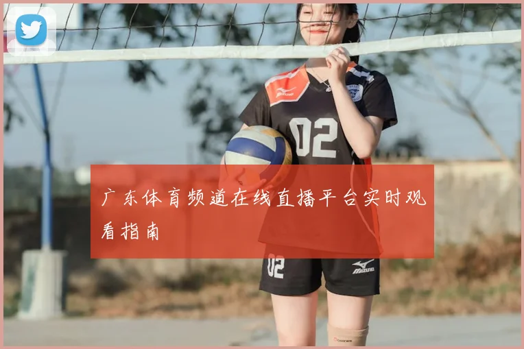 广东体育频道在线直播平台实时观看指南