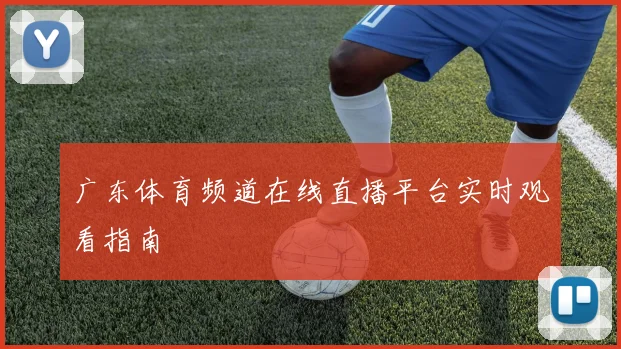 广东体育频道在线直播平台实时观看指南