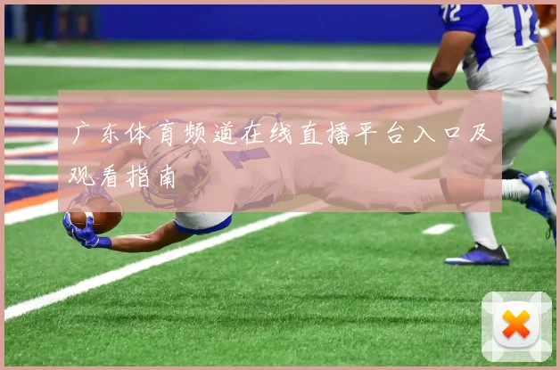 广东体育频道在线直播平台入口及观看指南
